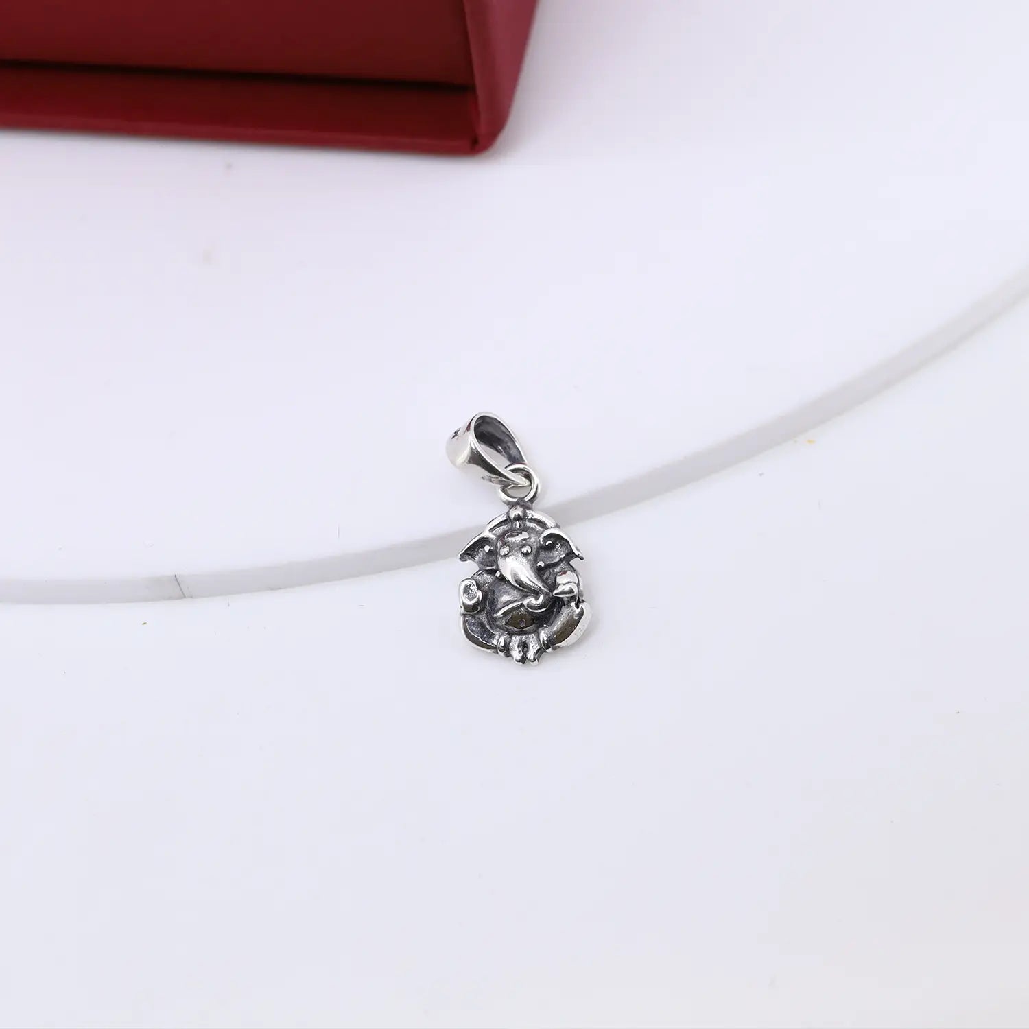 Divine Ganpati Circle Pendant with Twisted Glow Silver Chain